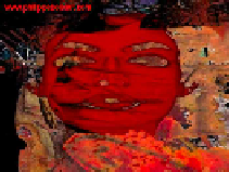 visage